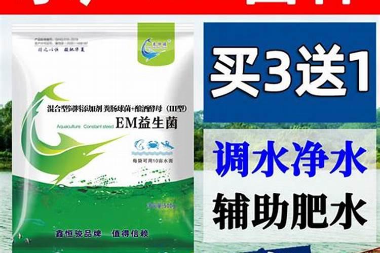 辣椒用什么肥料才能高产？