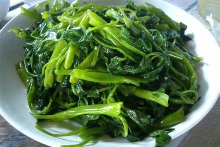 夏天适合种植什么蔬菜？