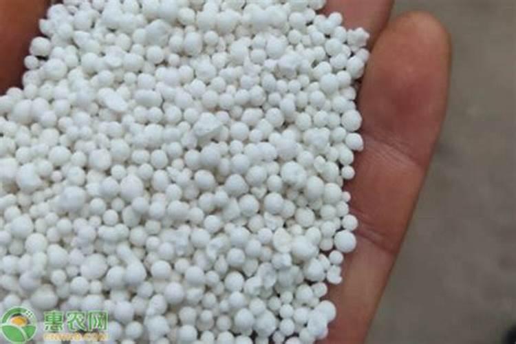 硅肥在水稻喷施最佳时间 正确使用方法