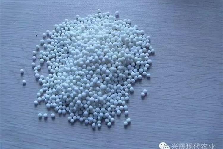 硼肥的10大禁忌