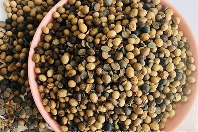 炒熟的黄豆可以做肥料吗