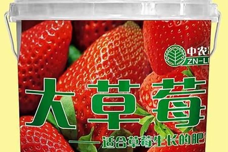 草莓高钾肥和生根肥能一起用吗有毒吗