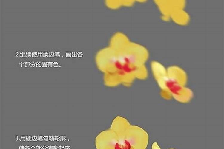 多肉上色肥料怎么用