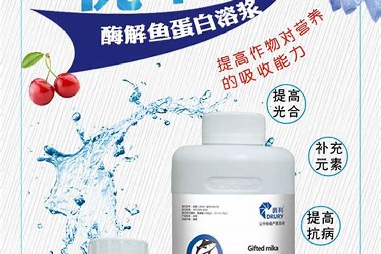 鱼蛋白对农作物的作用