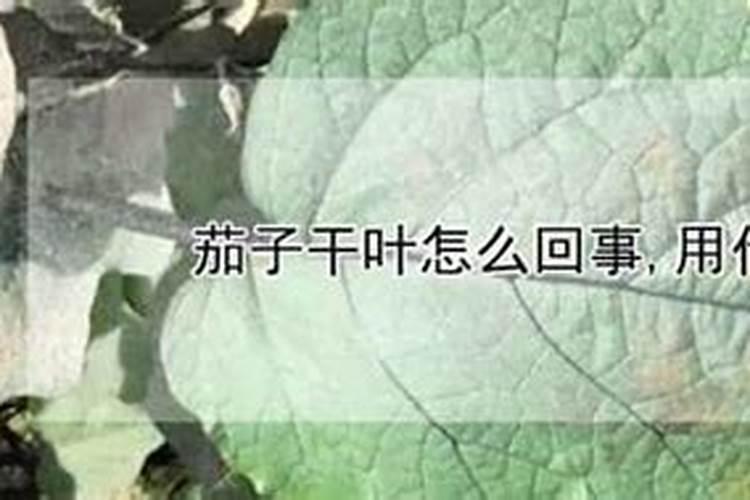 茄子怎么种植才能高产？