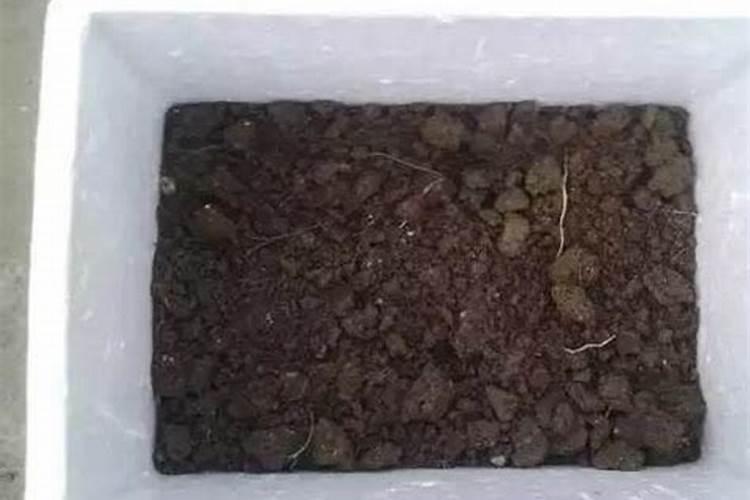 钙片过期了5个月妙用