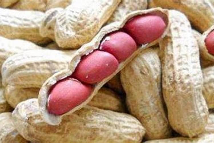 变质的花生可以做肥料吗