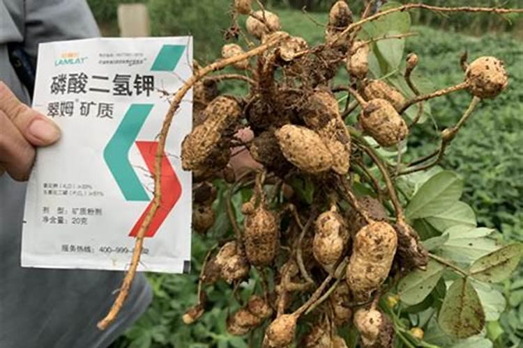 如何自制肥料？