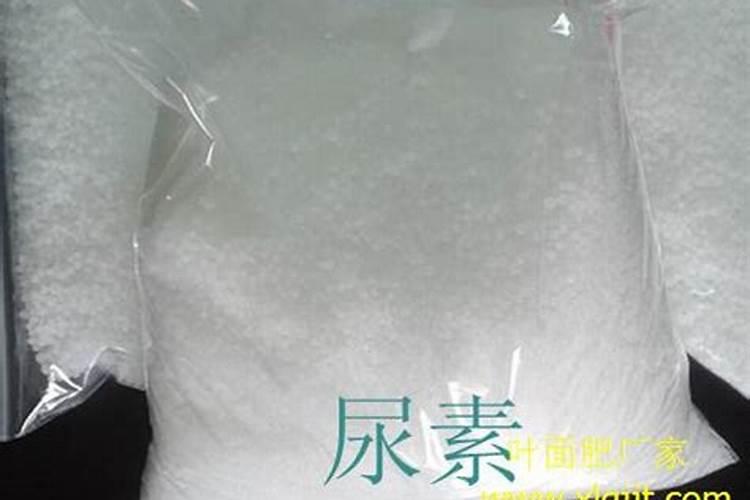 尿素当叶面肥使用方法