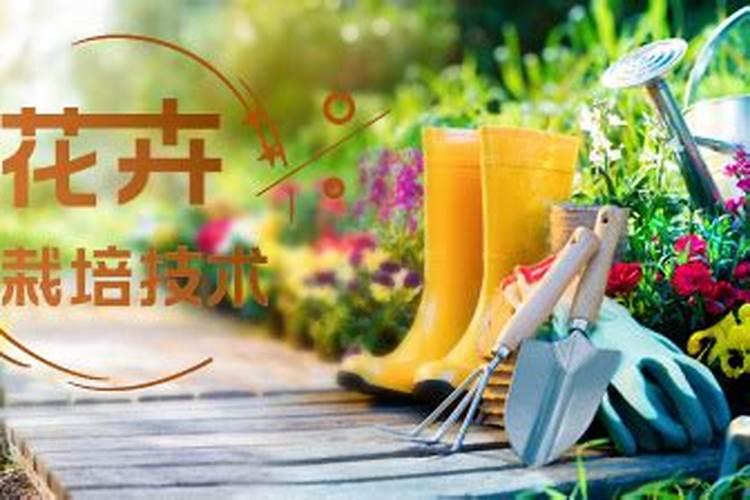 花卉施肥的五大原则和六大技巧