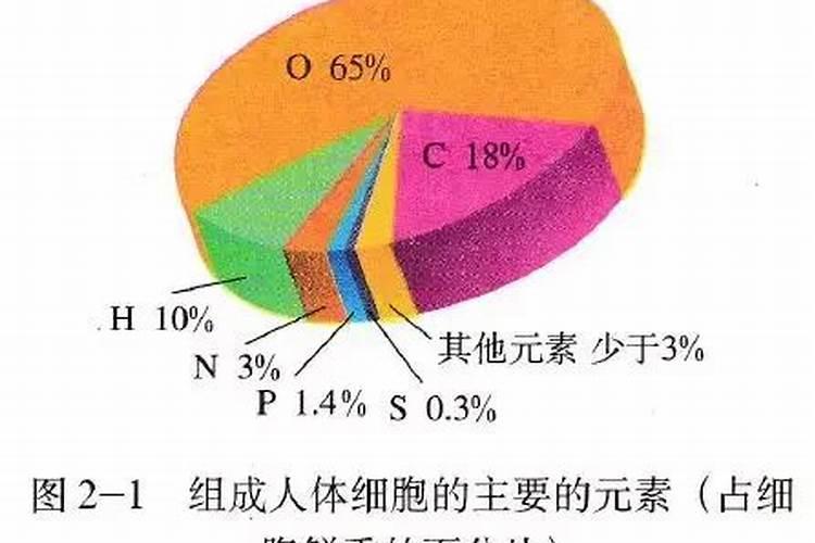磷肥是什么肥料做成
