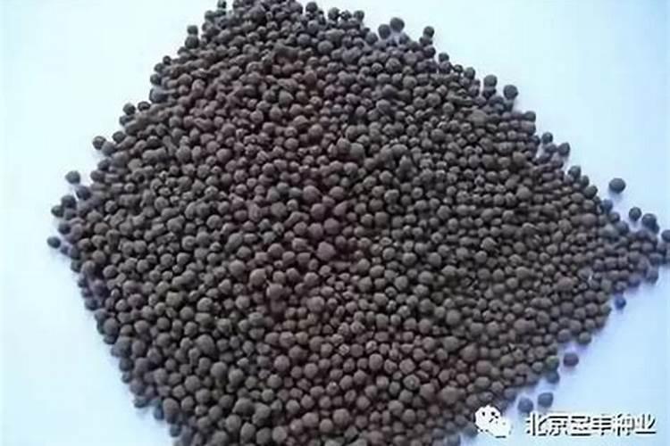 磷肥有哪些主要种类？