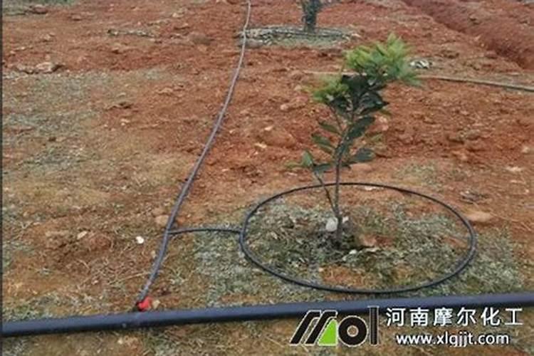 氮肥臭吗