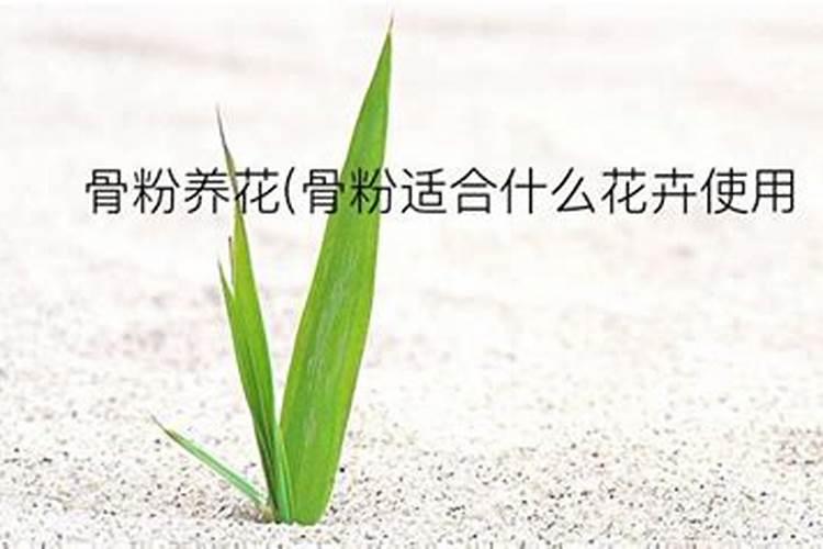 骨粉适合什么花当肥料、骨粉肥的注意事项