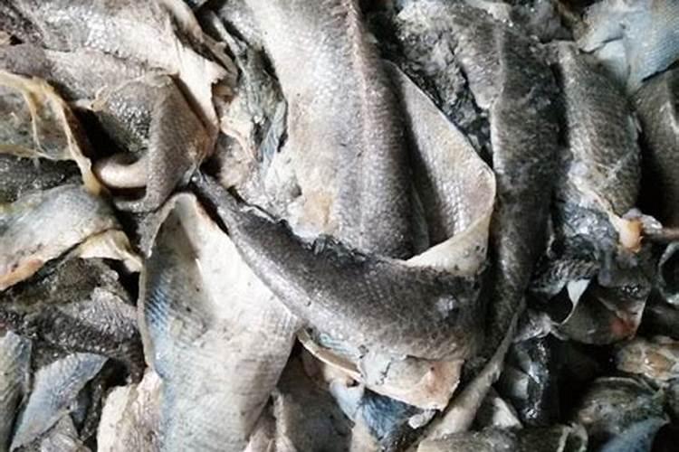 鱼饲料蛋白越高颜色越深吗？