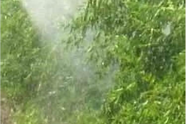 怎么鉴别进口水溶肥的真假