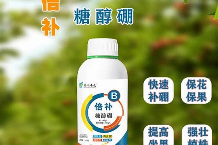 烤烟种植的基本过程或步骤？