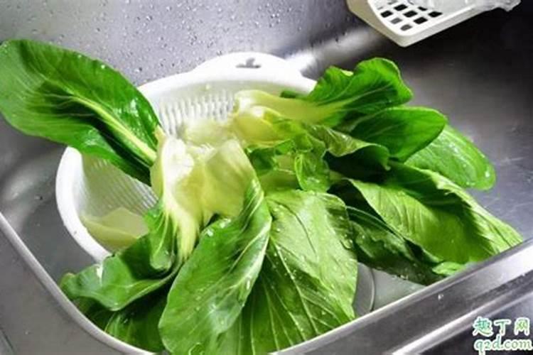 青菜施肥用复合还是尿素