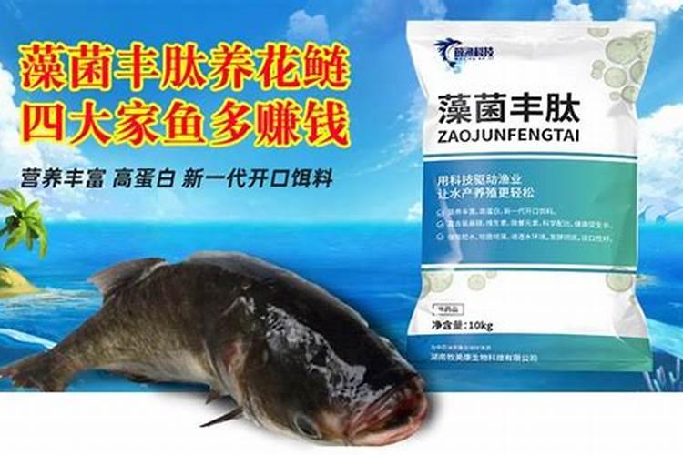 养花白鲢用什么肥水最好？