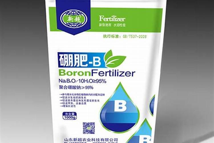 叶面喷施硼肥多少克一桶水