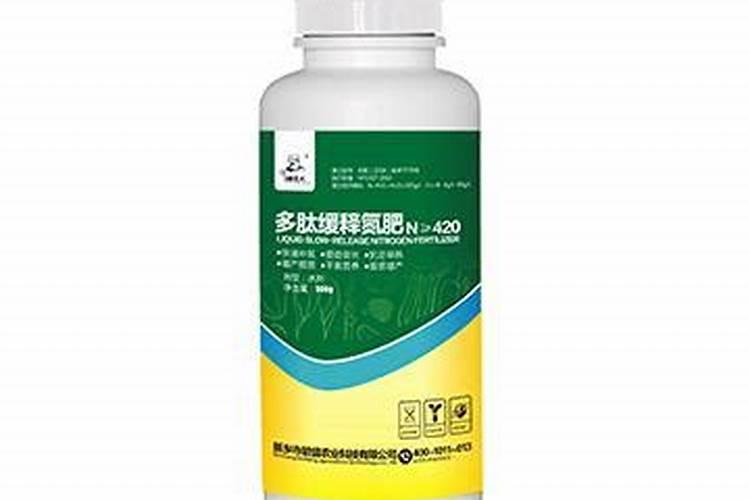 新鲜芦荟叶子怎么使用