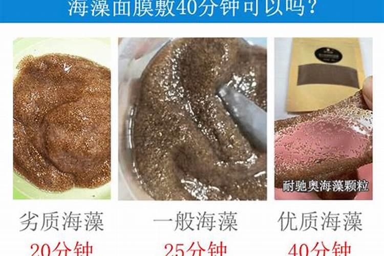海藻肥属于什么肥料 附使用方法