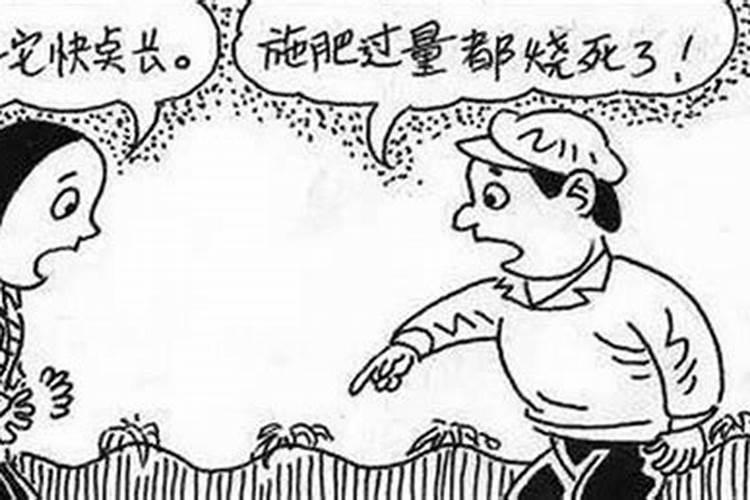 黄瓜浇多了肥怎么办 出现肥害的解决方法