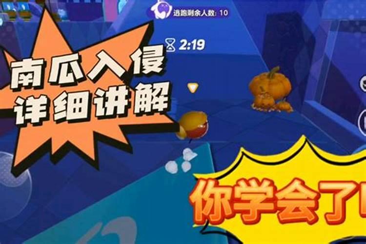南瓜挂不住果就发黄