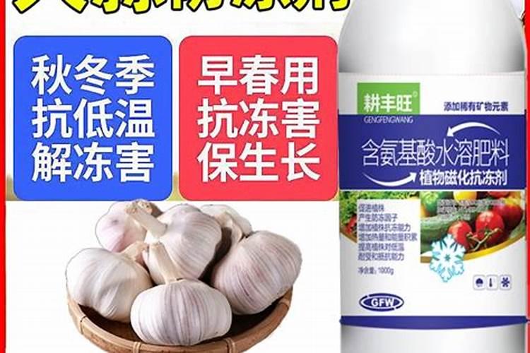 大蒜用什么药能防冻？