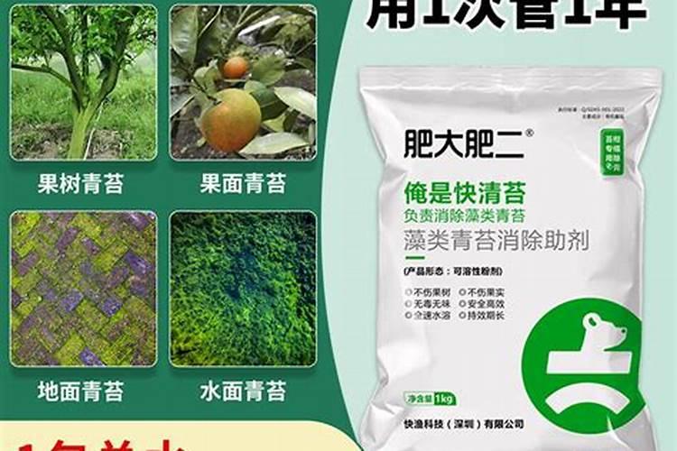 蔬菜大棚种菜起青苔不生根咋办？