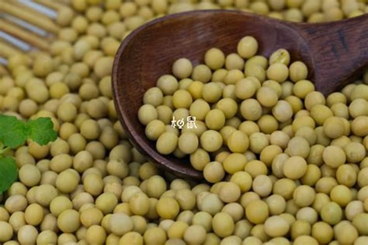 黄豆喜欢什么肥料