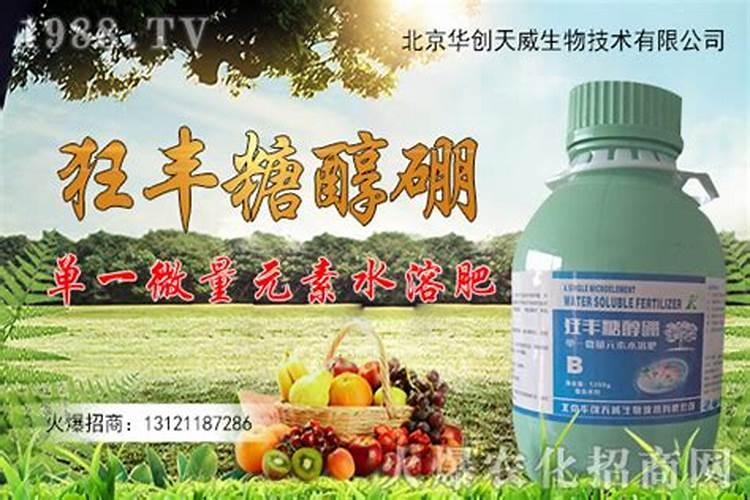 农用硼砂直接撒在水田里有效果吗