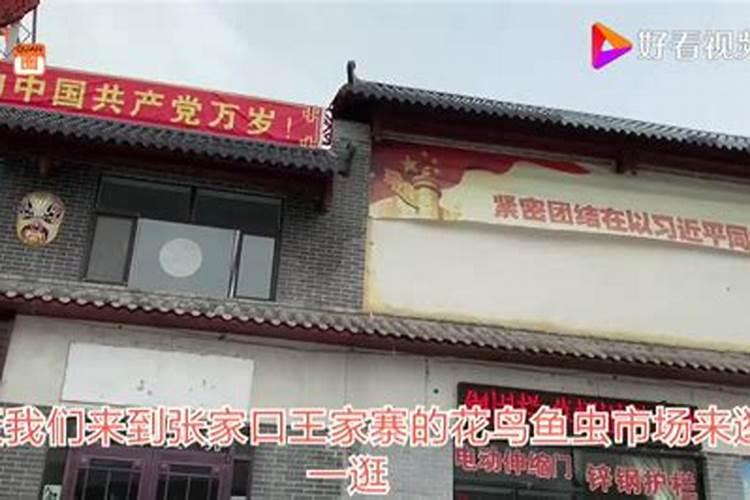 淡水鱼饲料配方有哪些 自配鱼粮鱼饲料要注意什么