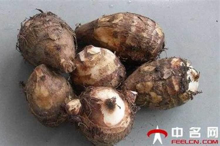 芋头什么时候施肥能高产量
