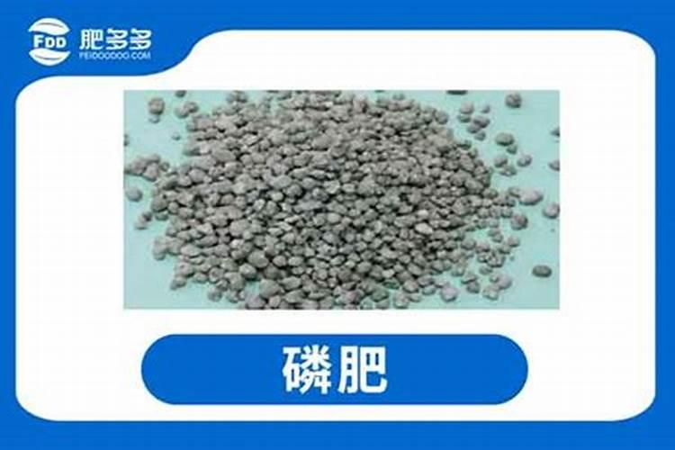 玉米为什么在酸性土壤当中缺磷？