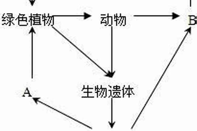 向土壤使入有机氮肥或化学氮肥后不应浇水过多它的原因是什么