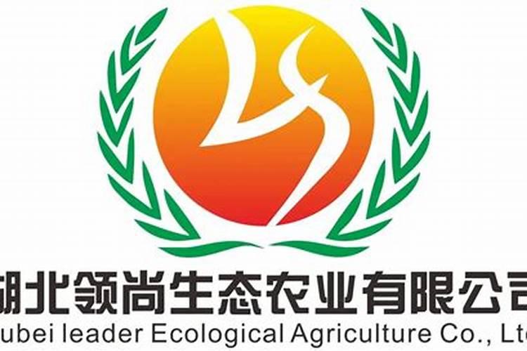 湖北远大富驰医药化工股份有限公司企业文化