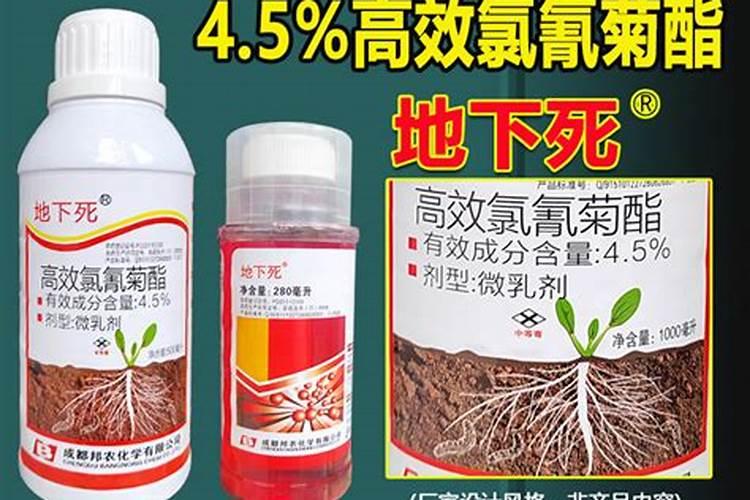 水溶肥哪种效果好