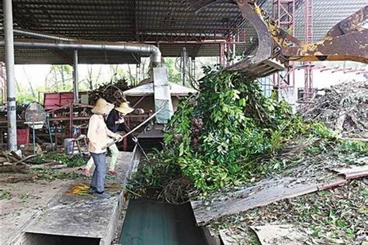 树叶可以发酵做肥料 怎么制作呢