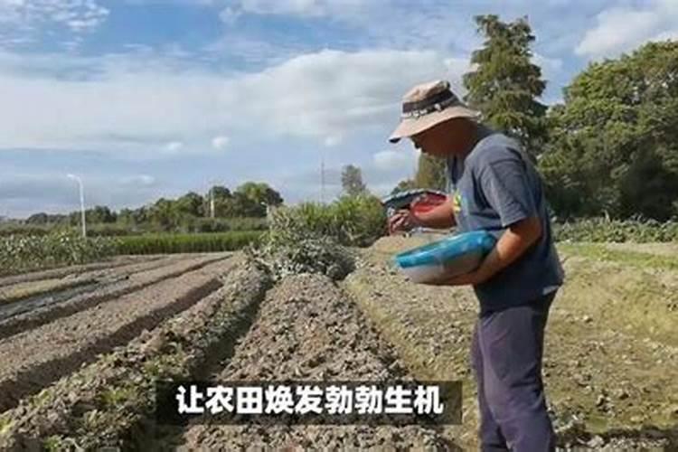 叶面肥浓度过高会对水稻有没有影响