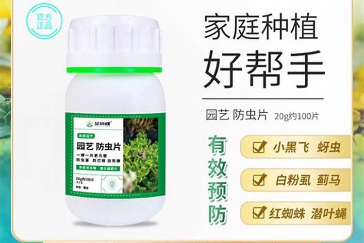 桂花树专用肥有哪些 施肥注意事项