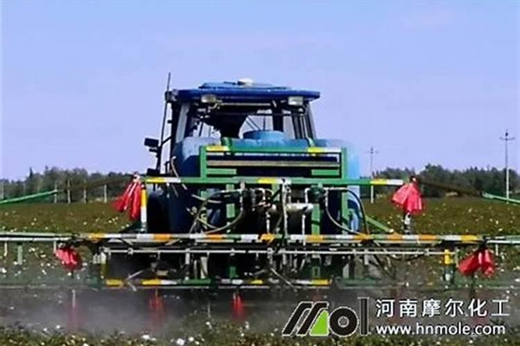 鱼蛋白液体肥使用方法