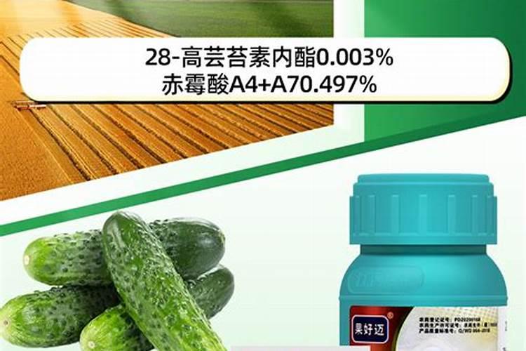 芸苔素使用攻略