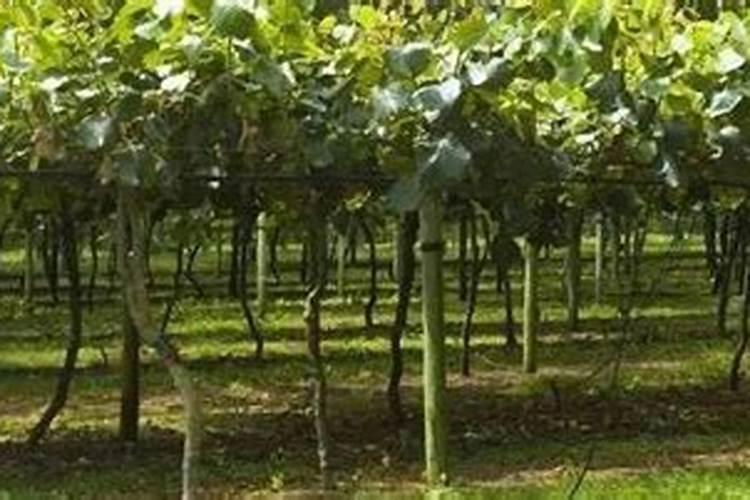 湖南省鑫淼供水设备有限公司怎么样？