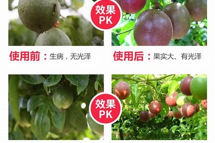 有机肥生产试点项目申报应该咨询哪个部门