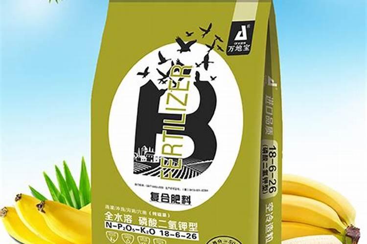 香蕉的施肥技术要点