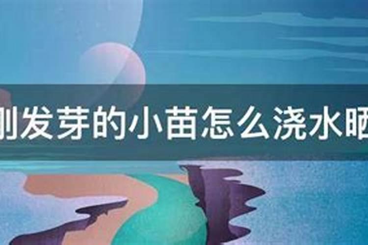 刚发芽的幼苗能施肥吗