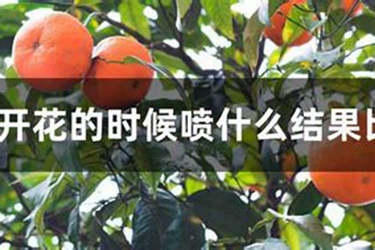 橘子打什么药好