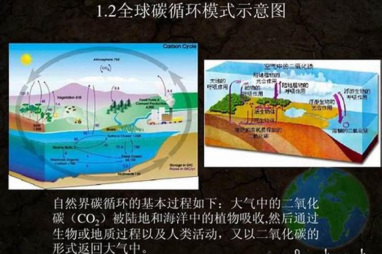 烧烤木炭灰可以种菜吗