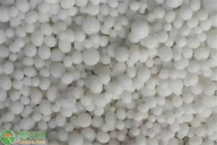 水产养殖中用什么氮肥最好